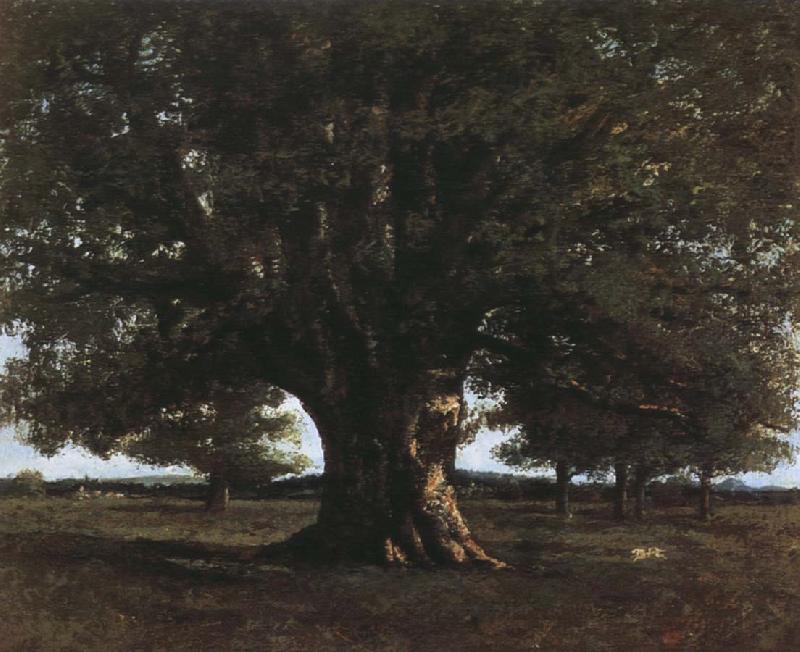 Gustave Courbet Tree china oil painting image